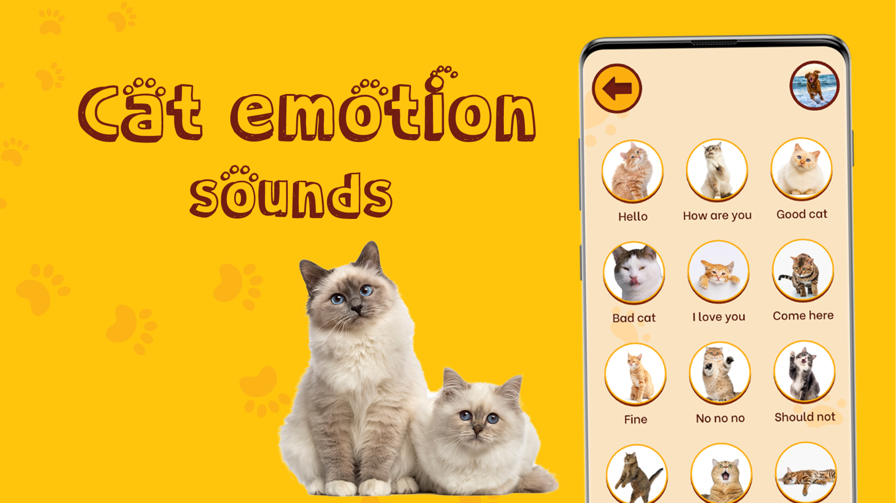 اسکرین شات 5 برنامه Translate for Animal: Cat, Dog