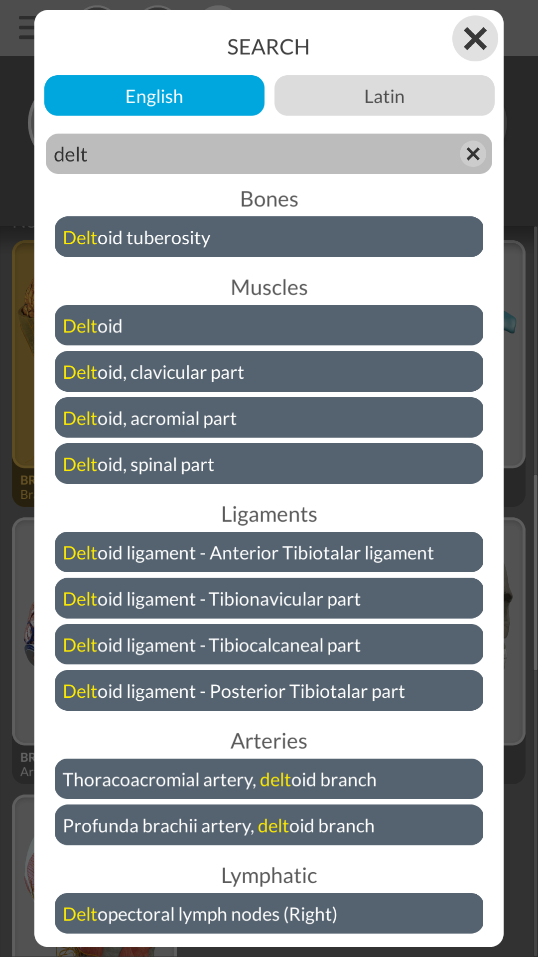 اسکرین شات 8 برنامه Anatomy 3D Atlas