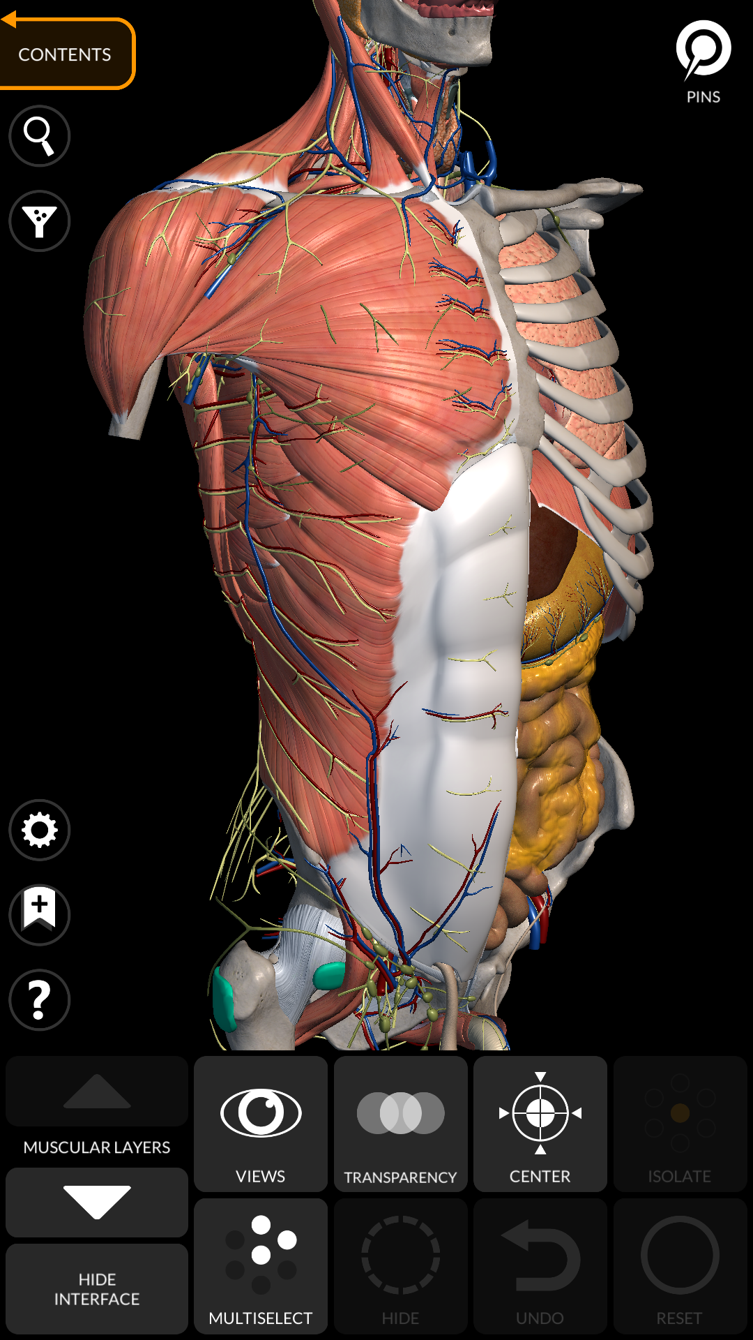 اسکرین شات 1 برنامه Anatomy 3D Atlas