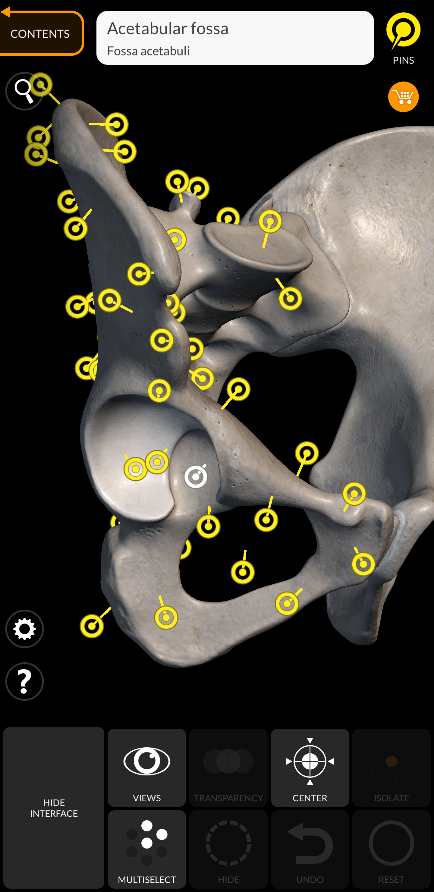 اسکرین شات 2 برنامه Skeleton | 3D Anatomy