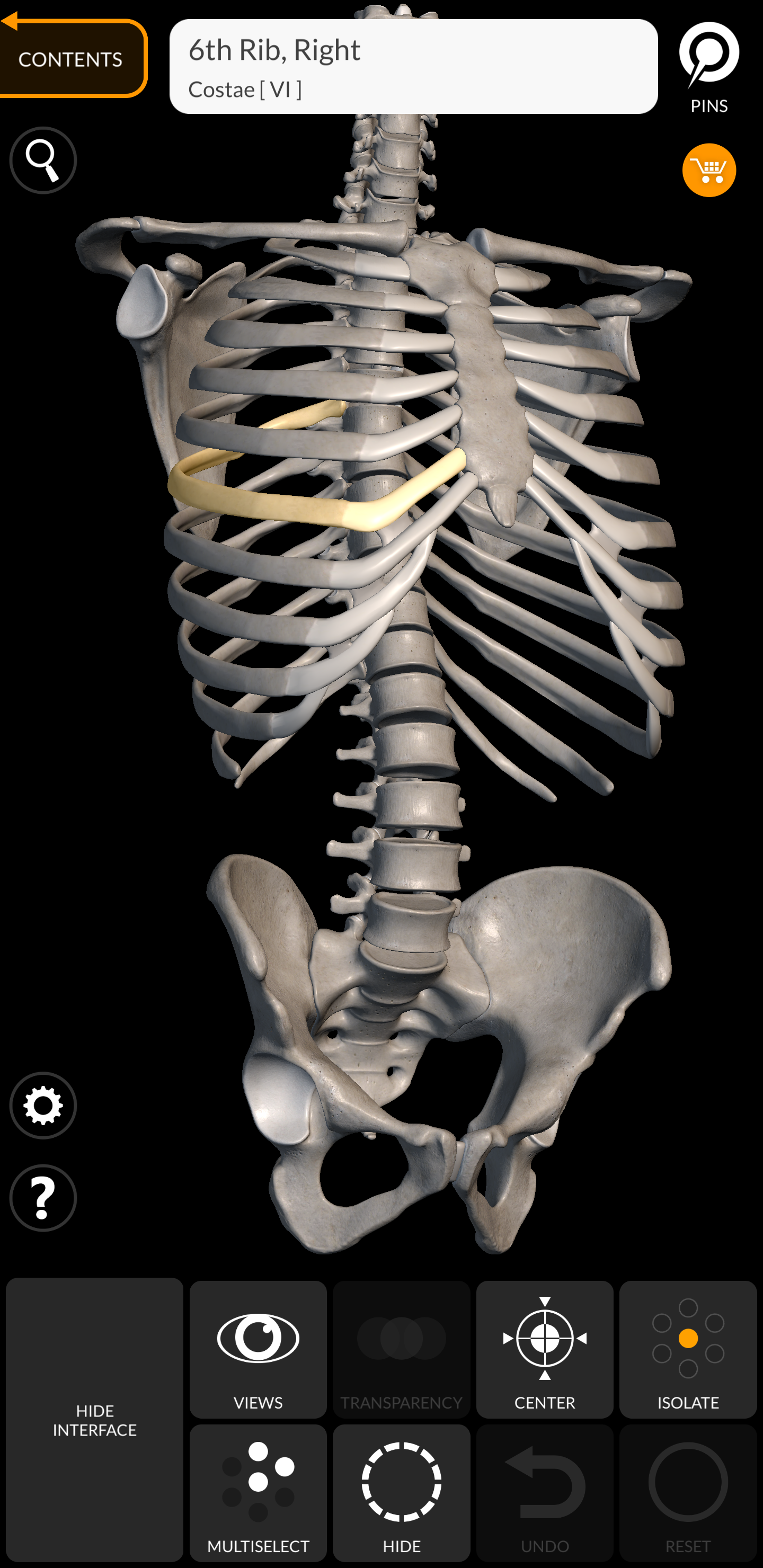 اسکرین شات 1 برنامه Skeleton | 3D Anatomy