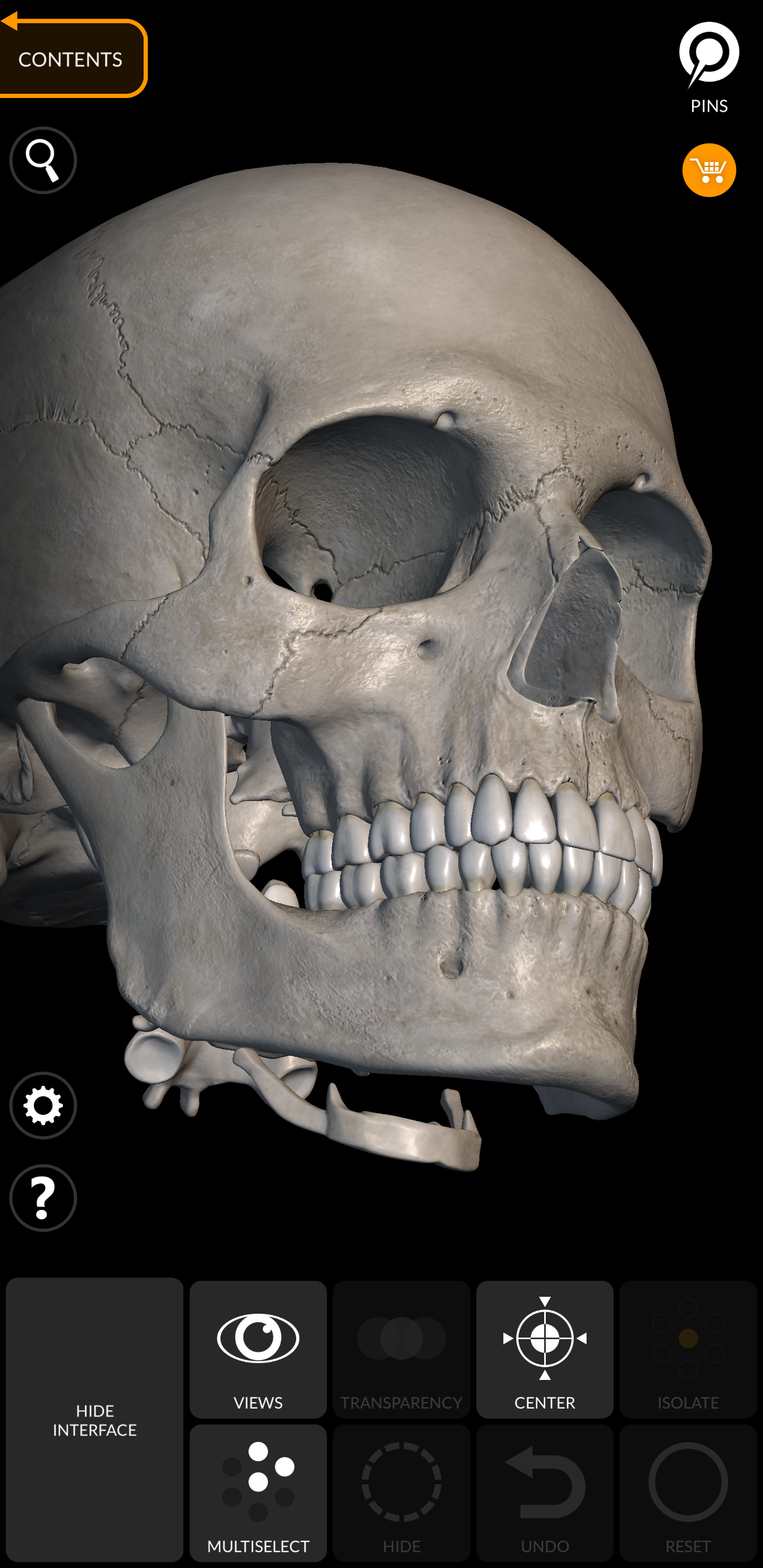 اسکرین شات 4 برنامه Skeleton | 3D Anatomy
