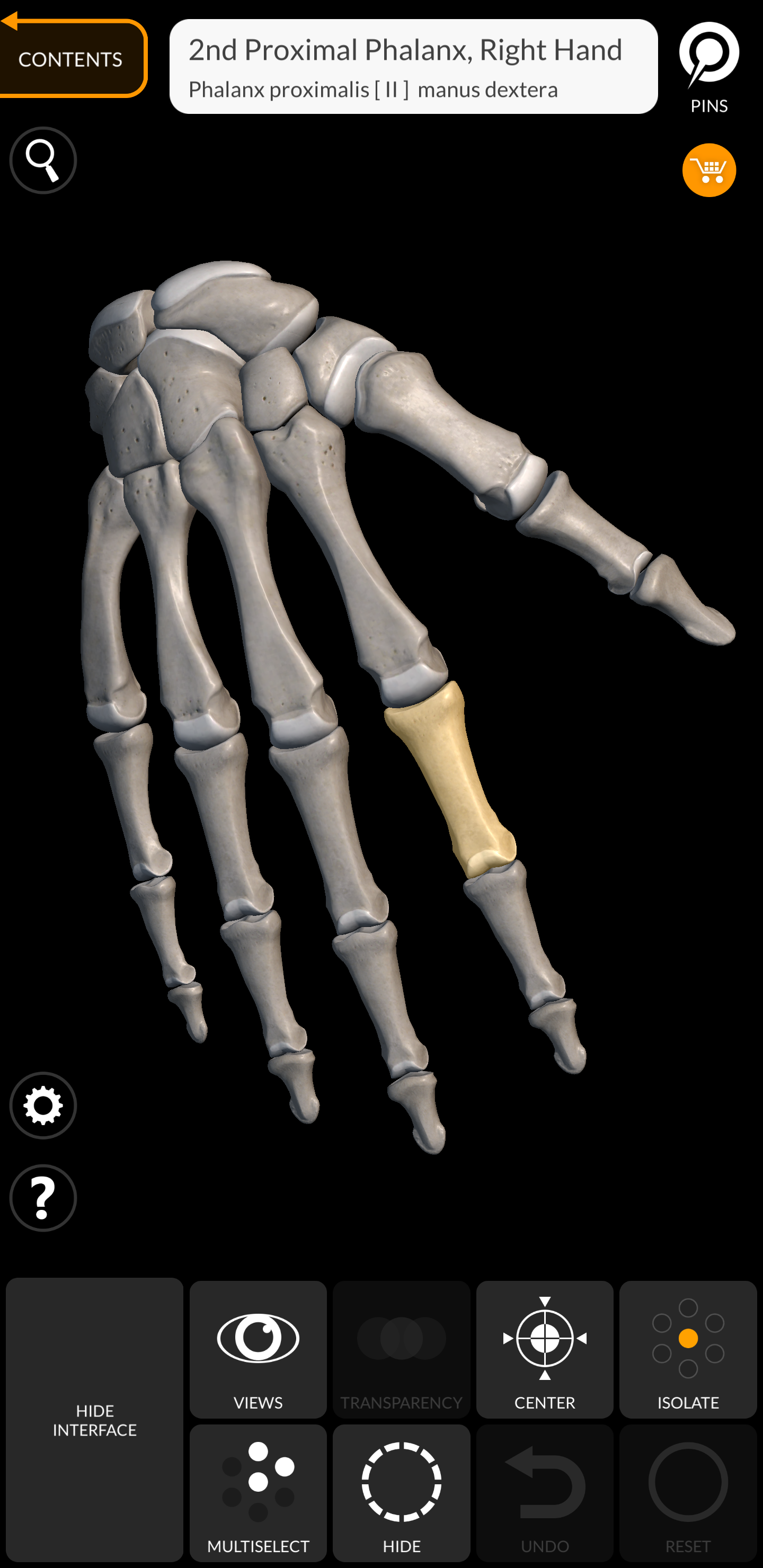 اسکرین شات 5 برنامه Skeleton | 3D Anatomy