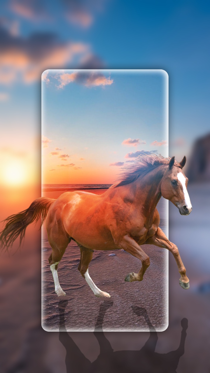 اسکرین شات 1 برنامه 4K Wallpaper - HD Backgrounds