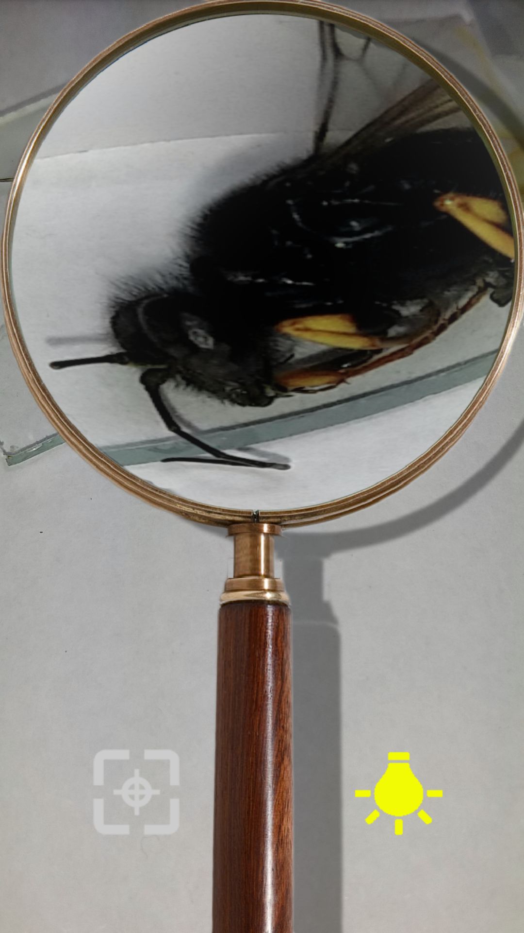اسکرین شات 6 برنامه Magnifying Glass