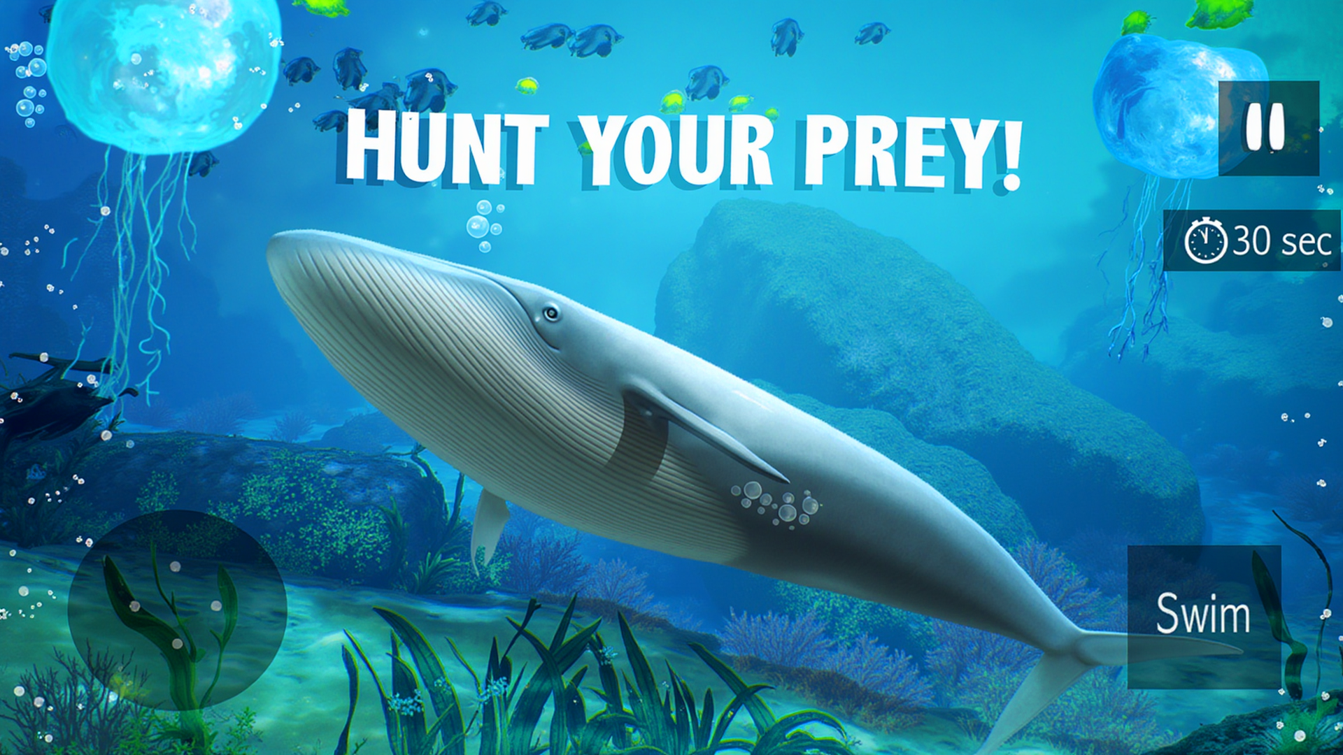 اسکرین شات 3 بازی Blue Whale Simulator - Game