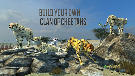 اسکرین شات 3 بازی Clan of Cheetahs