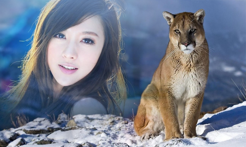 اسکرین شات 2 برنامه Wildlife Photo Frame
