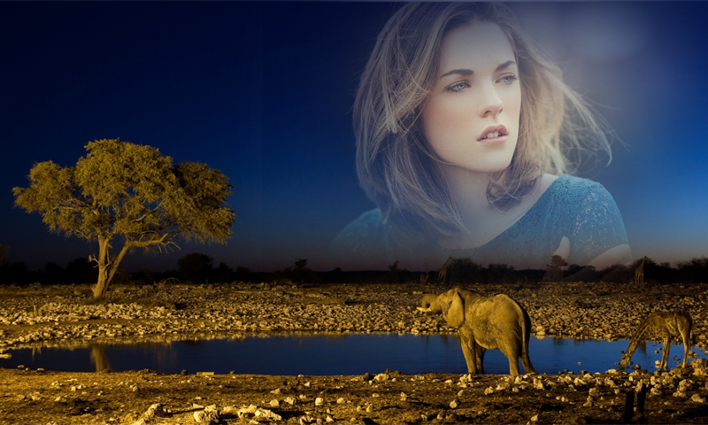 اسکرین شات 1 برنامه Wildlife Photo Frame