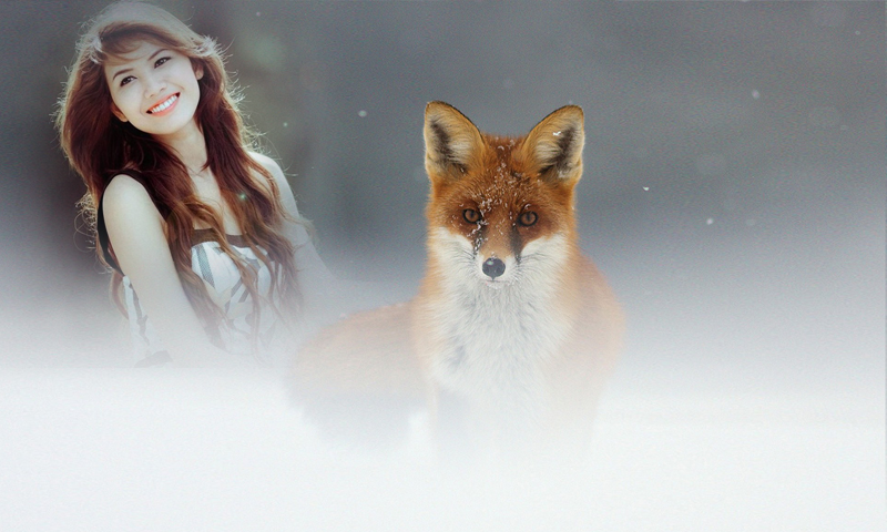اسکرین شات 4 برنامه Wildlife Photo Frame
