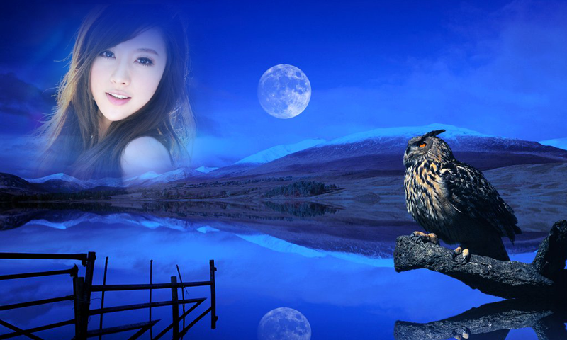 اسکرین شات 3 برنامه Wildlife Photo Frame