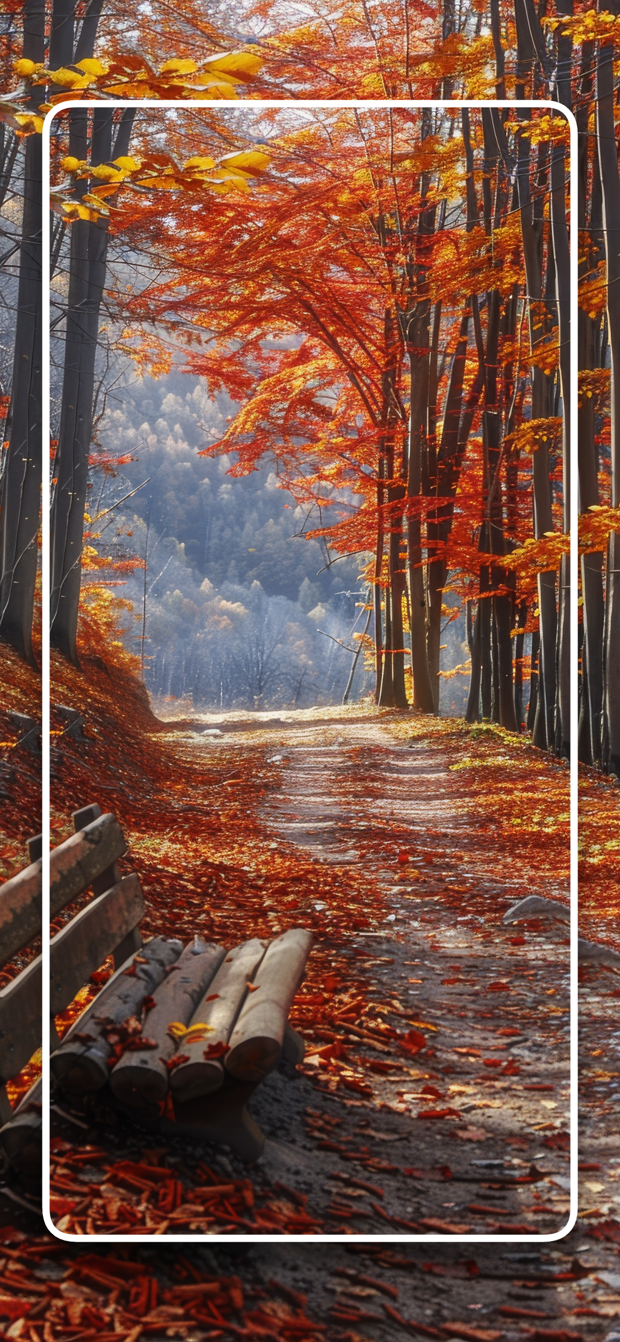 اسکرین شات 7 برنامه Autumn Wallpapers Nature 4K HD