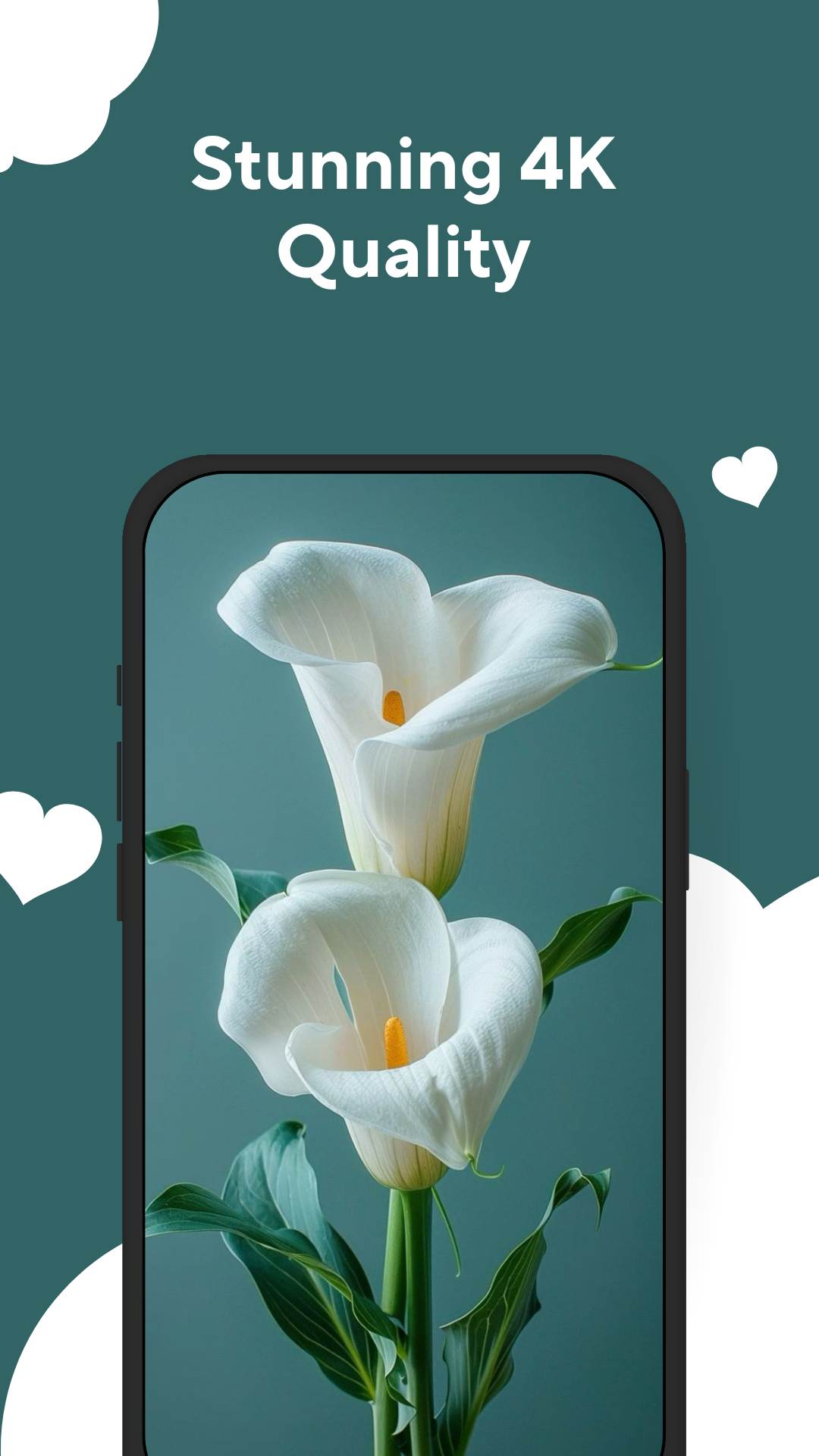 اسکرین شات 6 برنامه Flower Wallpapers Rose 4K - HD