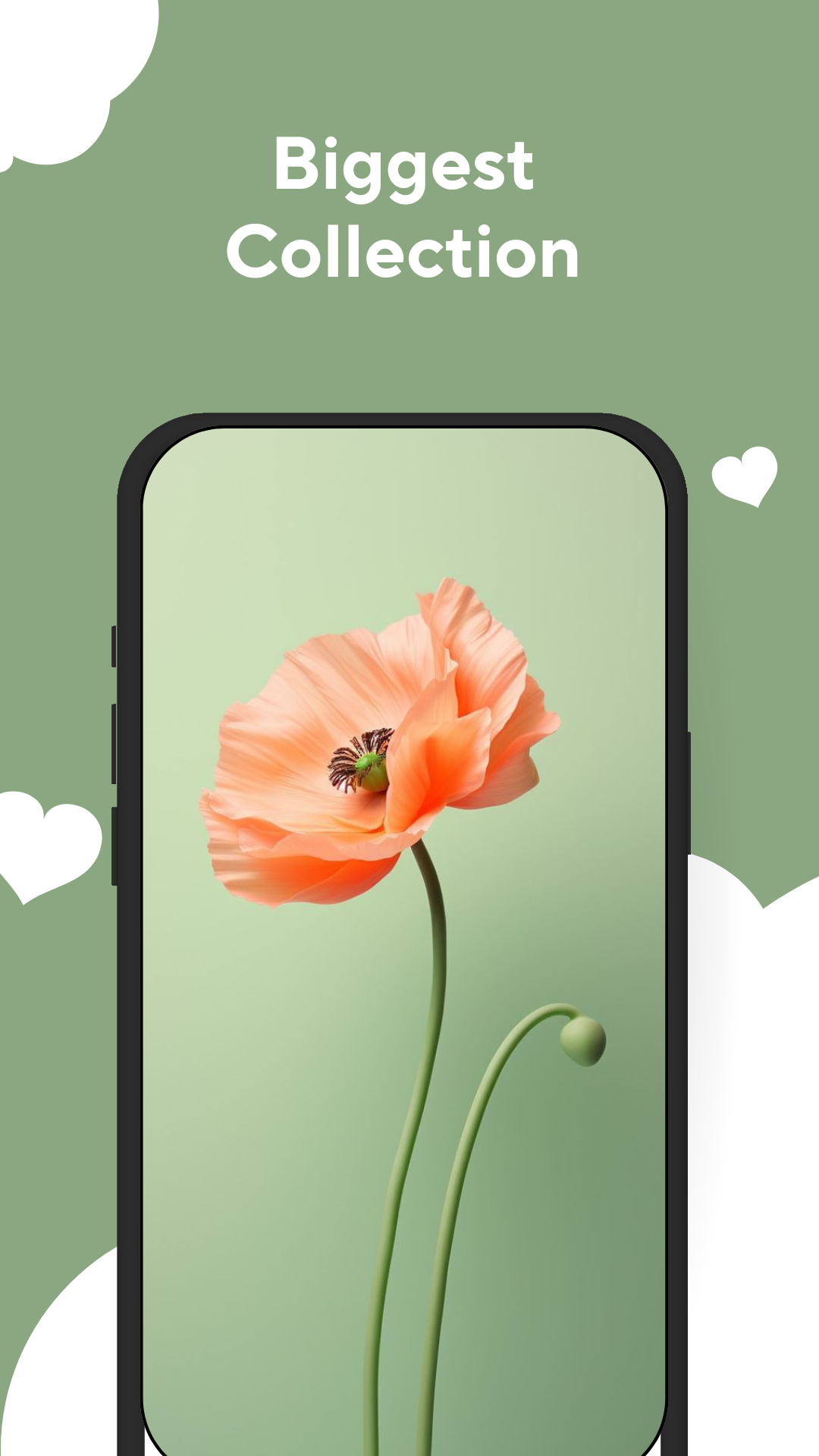 اسکرین شات 3 برنامه Flower Wallpapers Rose 4K - HD