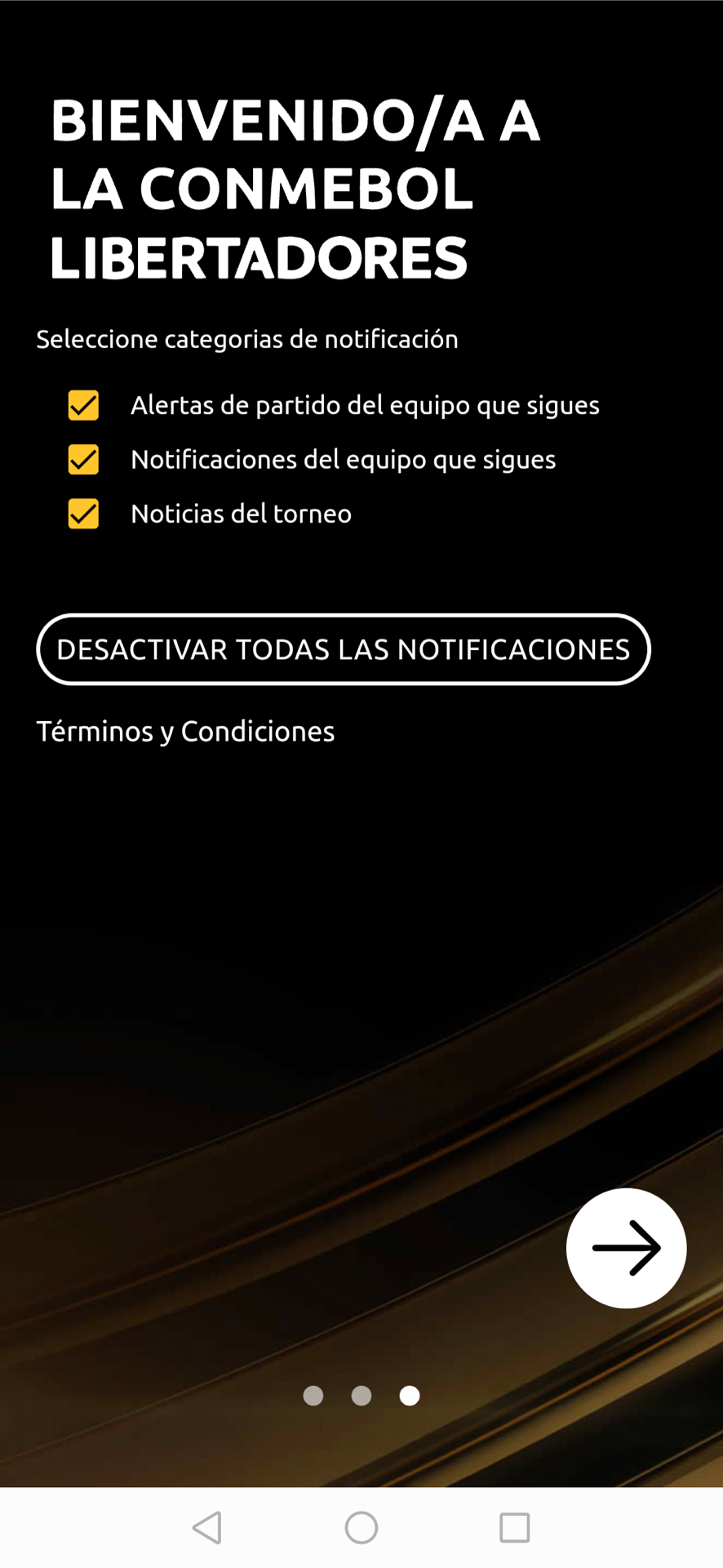 اسکرین شات 3 برنامه CONMEBOL Libertadores
