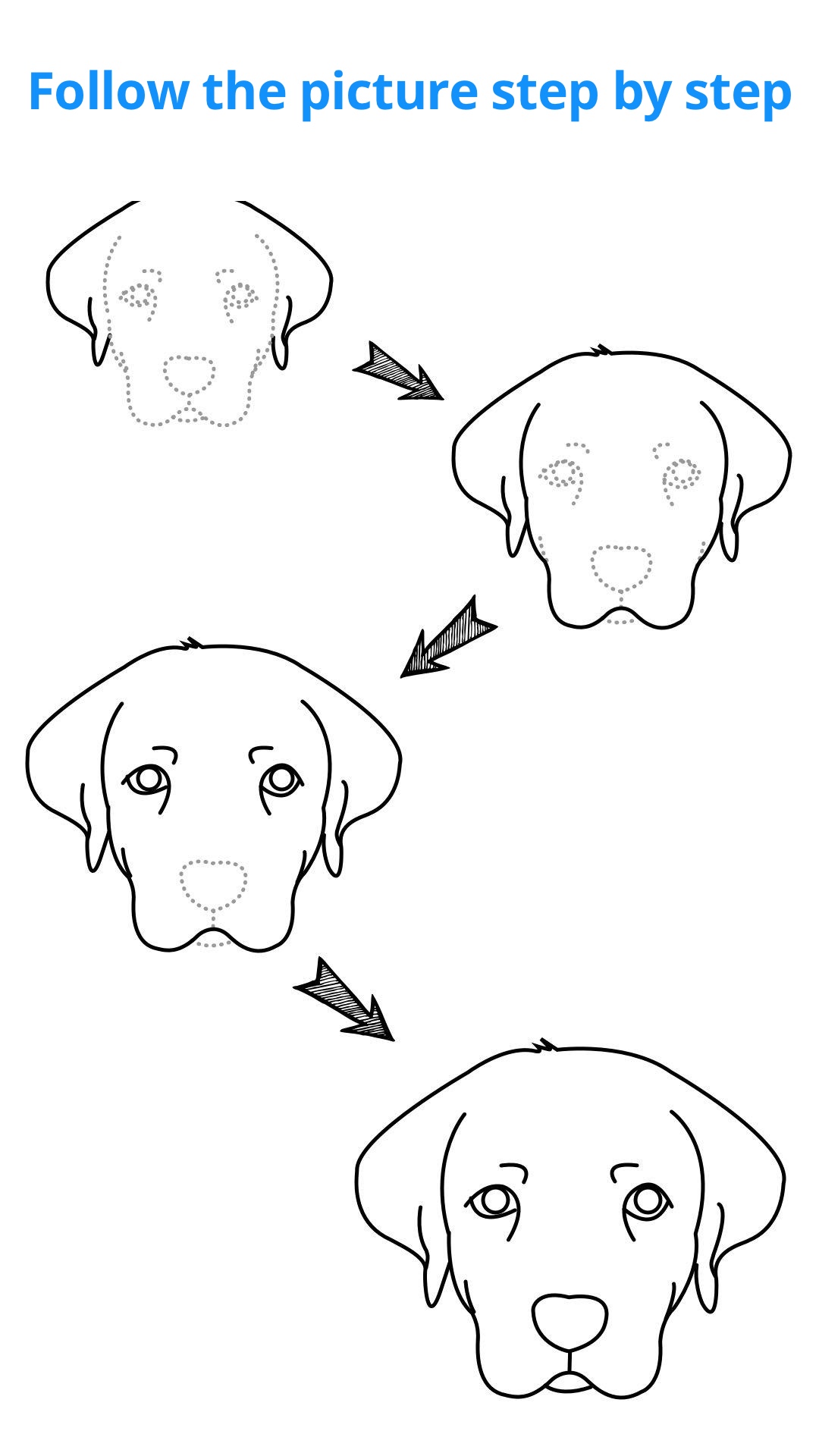 اسکرین شات 3 برنامه How To Draw Animal