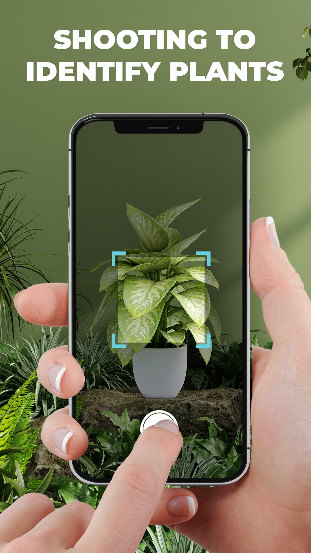 اسکرین شات 1 برنامه Planet - AI Plant Identifier