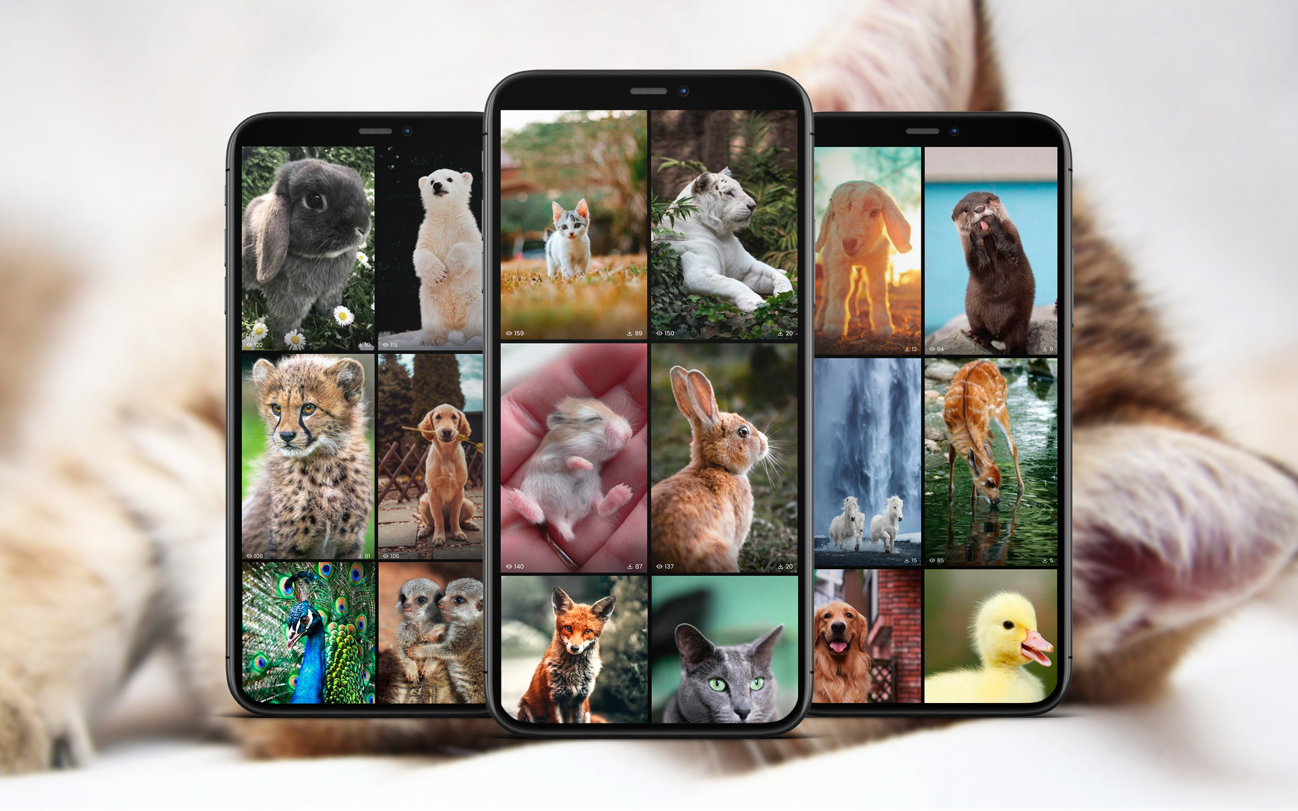 اسکرین شات 1 برنامه Cute Animal Wallpapers