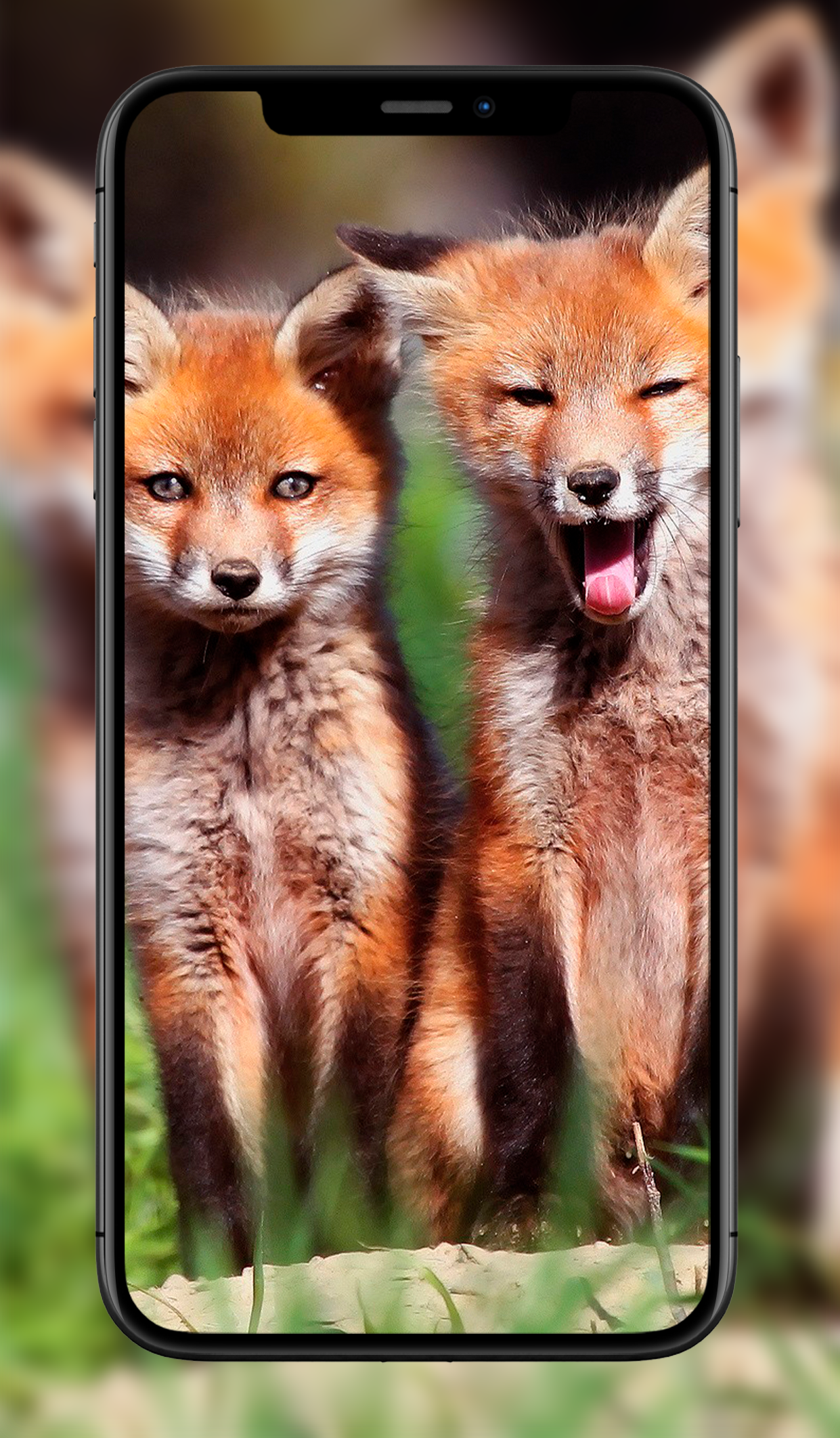 اسکرین شات 7 برنامه Cute Animal Wallpapers