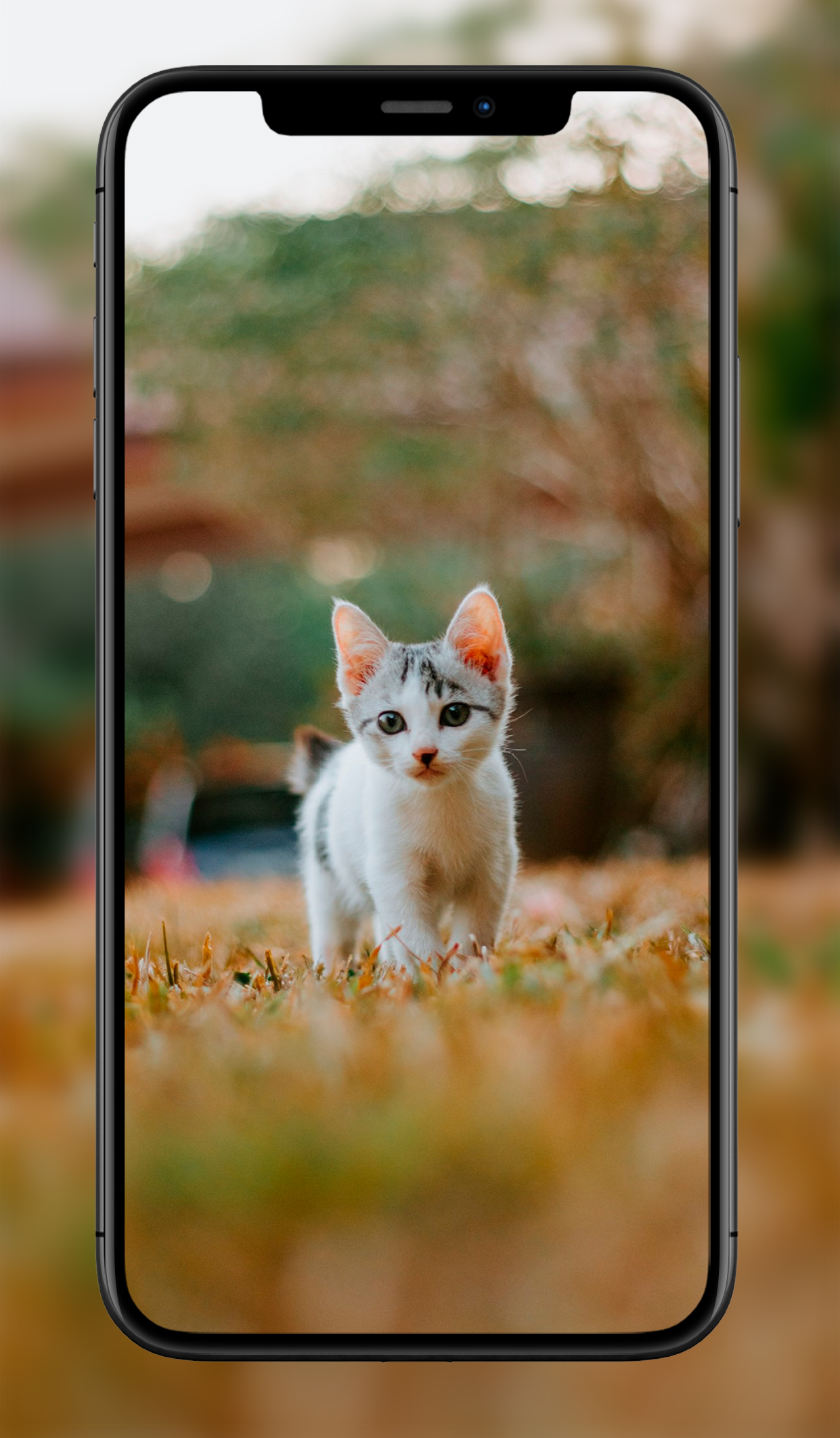 اسکرین شات 4 برنامه Cute Animal Wallpapers