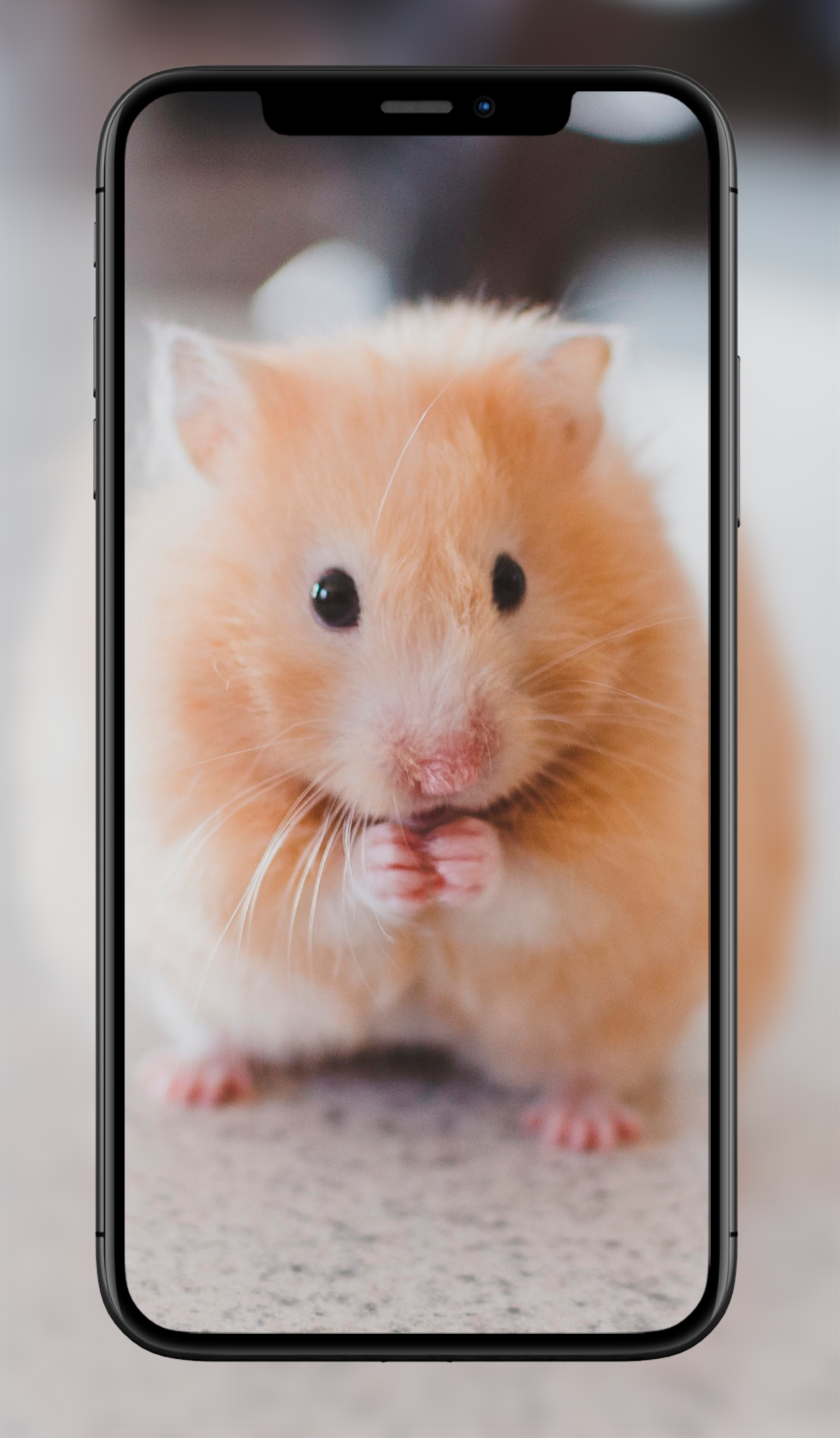 اسکرین شات 5 برنامه Cute Animal Wallpapers