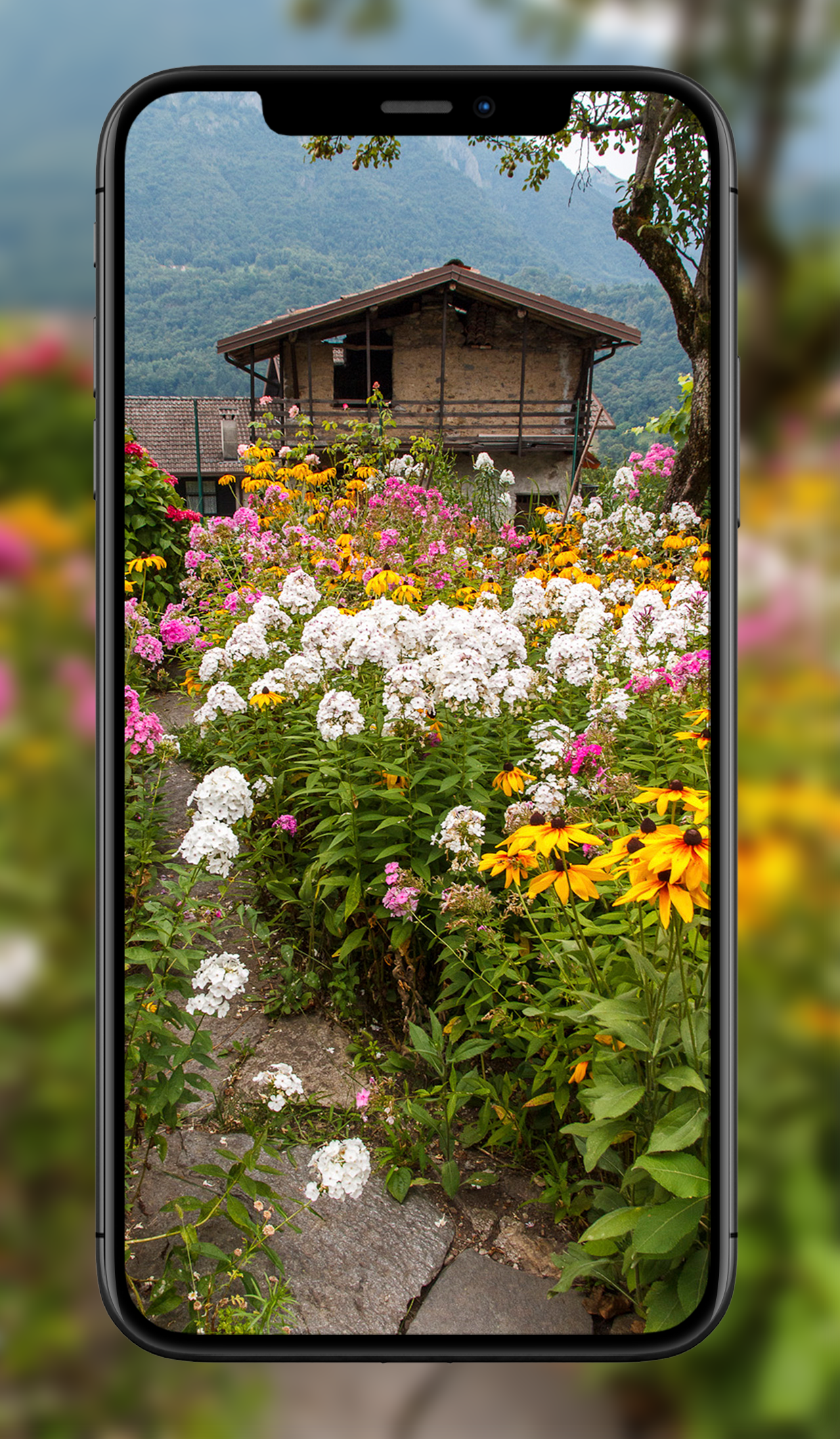 اسکرین شات 6 برنامه Garden Wallpapers