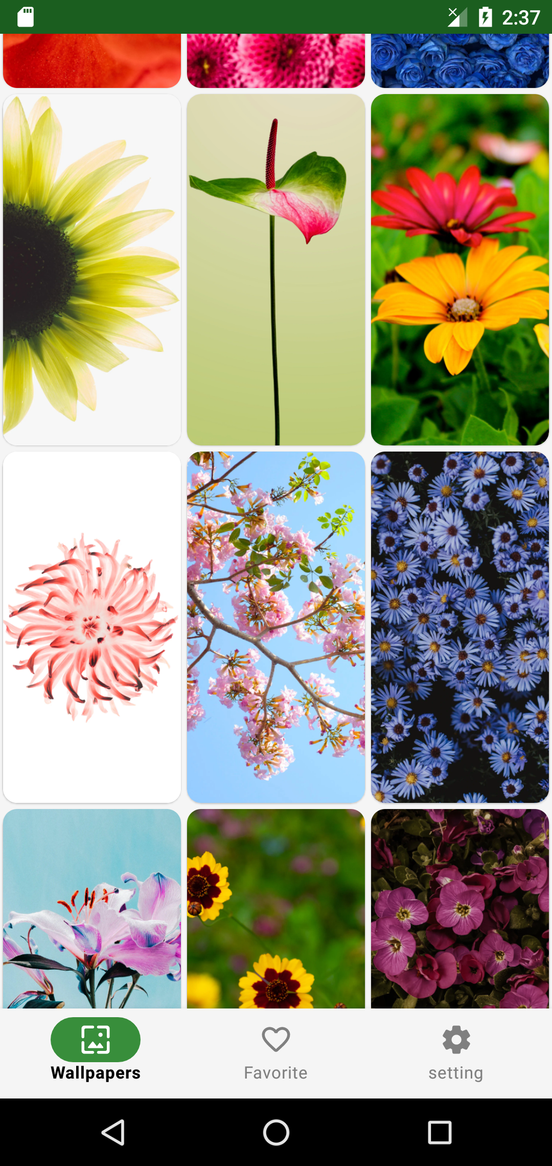 اسکرین شات 2 برنامه Flower Wallpaper