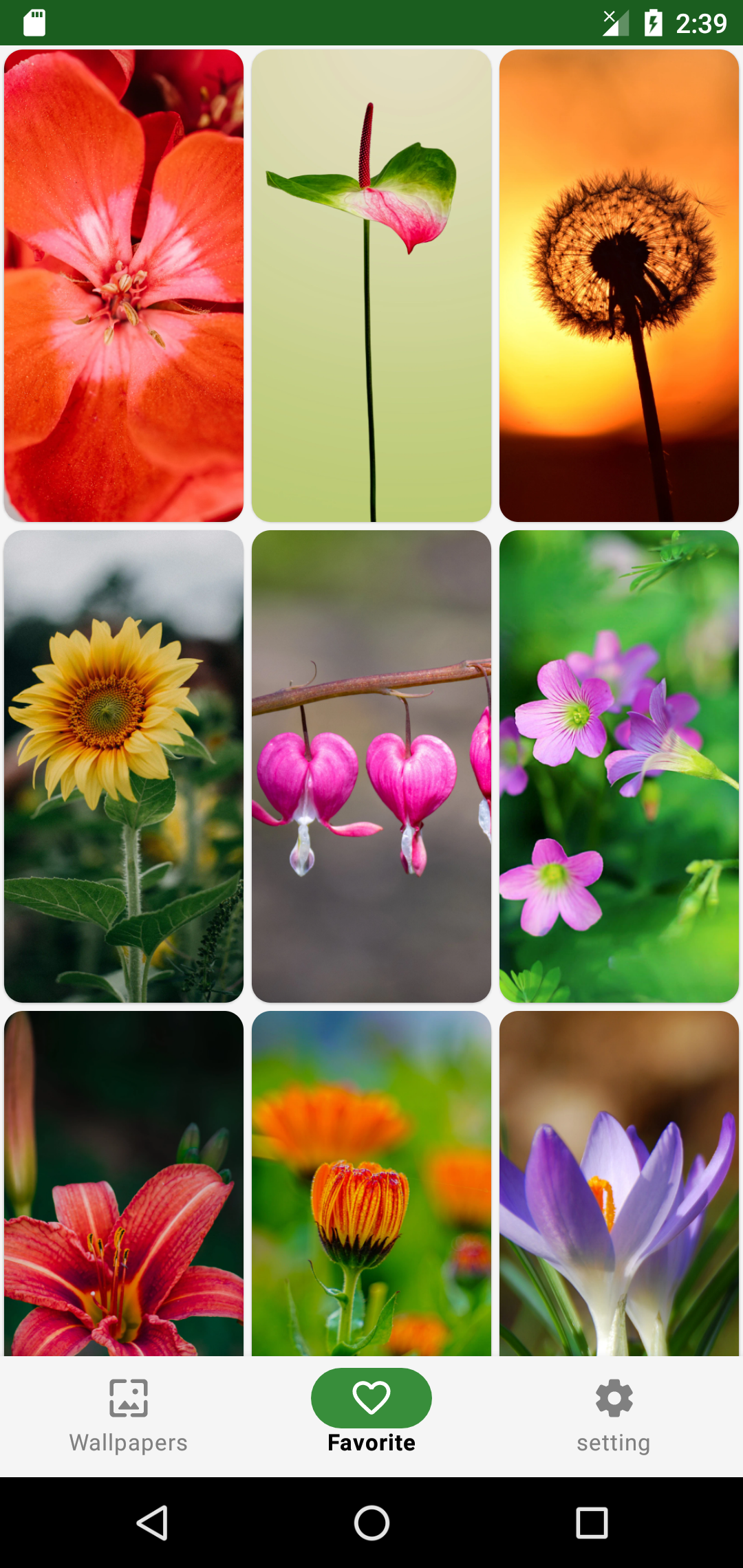 اسکرین شات 7 برنامه Flower Wallpaper