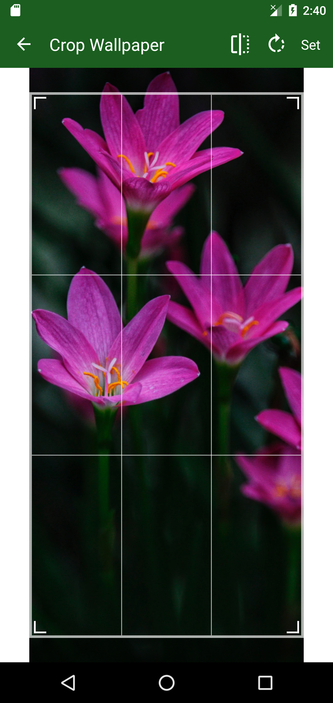 اسکرین شات 5 برنامه Flower Wallpaper