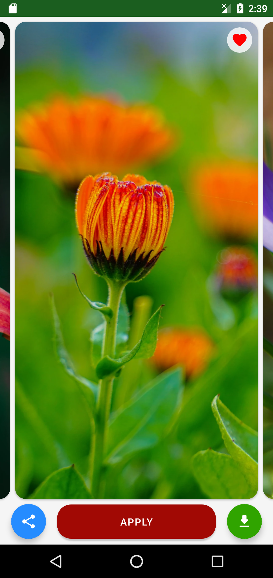 اسکرین شات 3 برنامه Flower Wallpaper