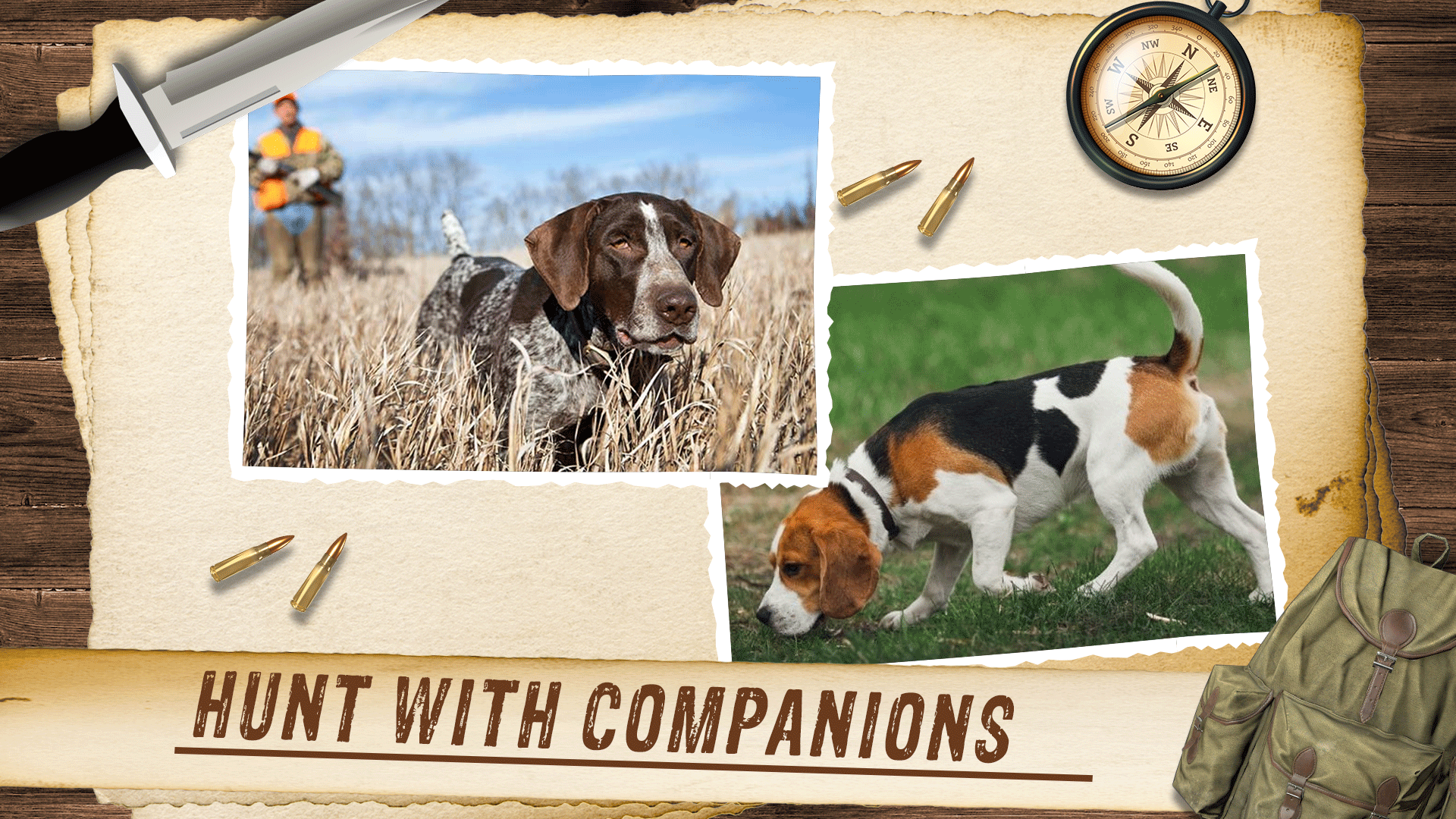 اسکرین شات 6 برنامه Deer Hunter Wild Hunting Games