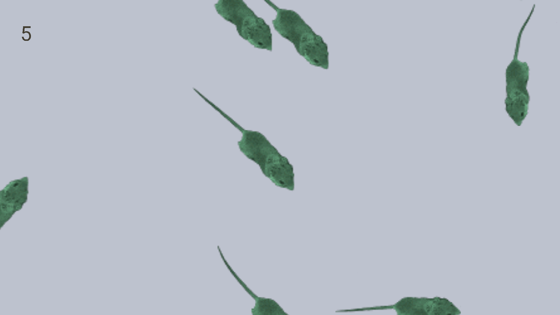 اسکرین شات 7 بازی Mice Catch - Cat Game