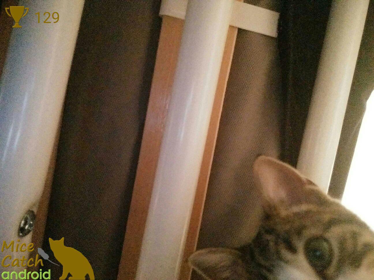 اسکرین شات 1 بازی Mice Catch - Cat Game