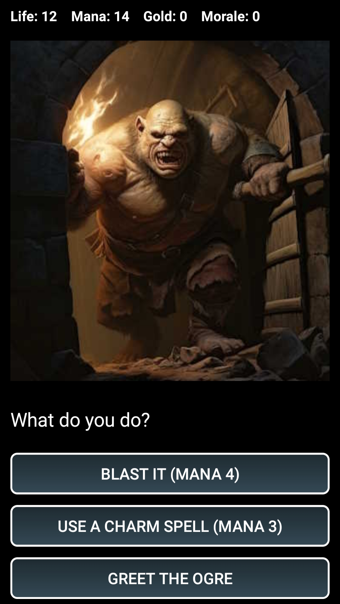 اسکرین شات 1 بازی Dungeons and Decisions RPG