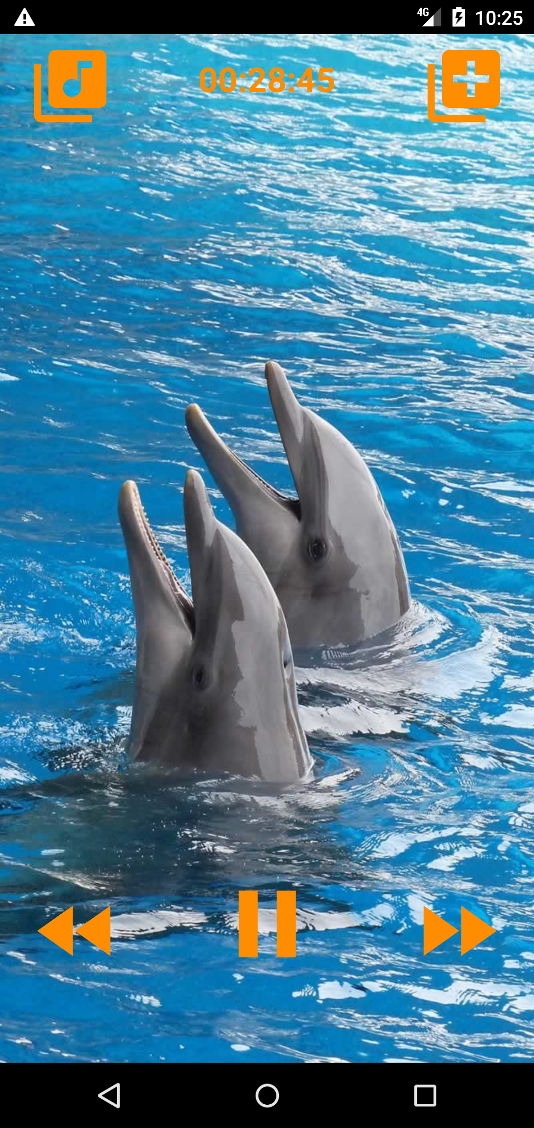 اسکرین شات 5 برنامه Dolphins songs to sleep