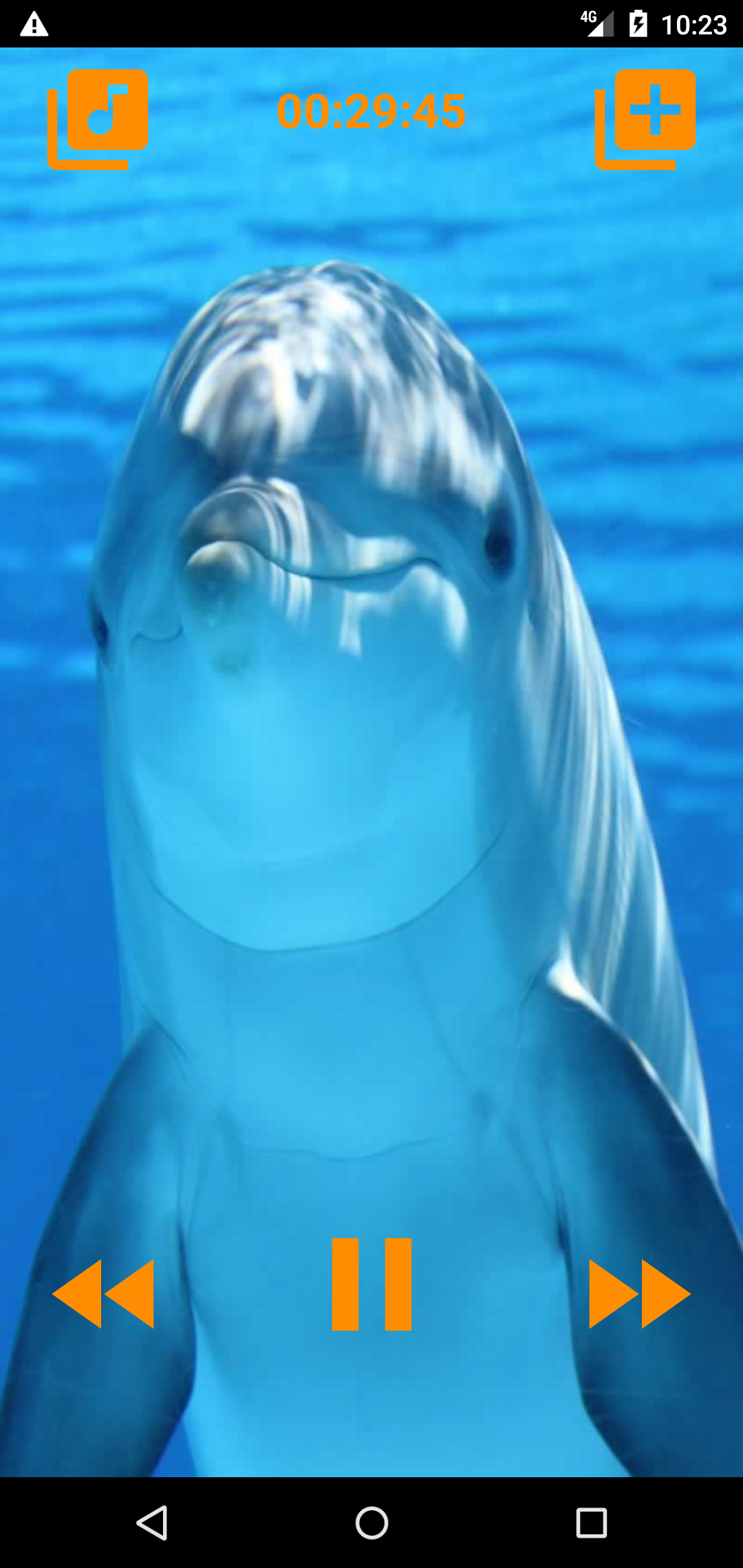 اسکرین شات 1 برنامه Dolphins songs to sleep