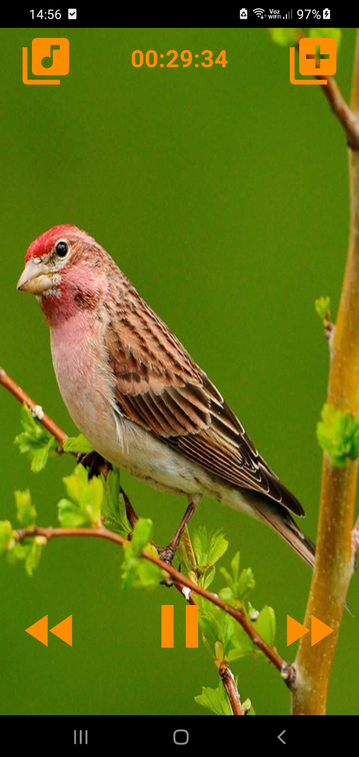 اسکرین شات 3 برنامه Nature sounds relax & sleep