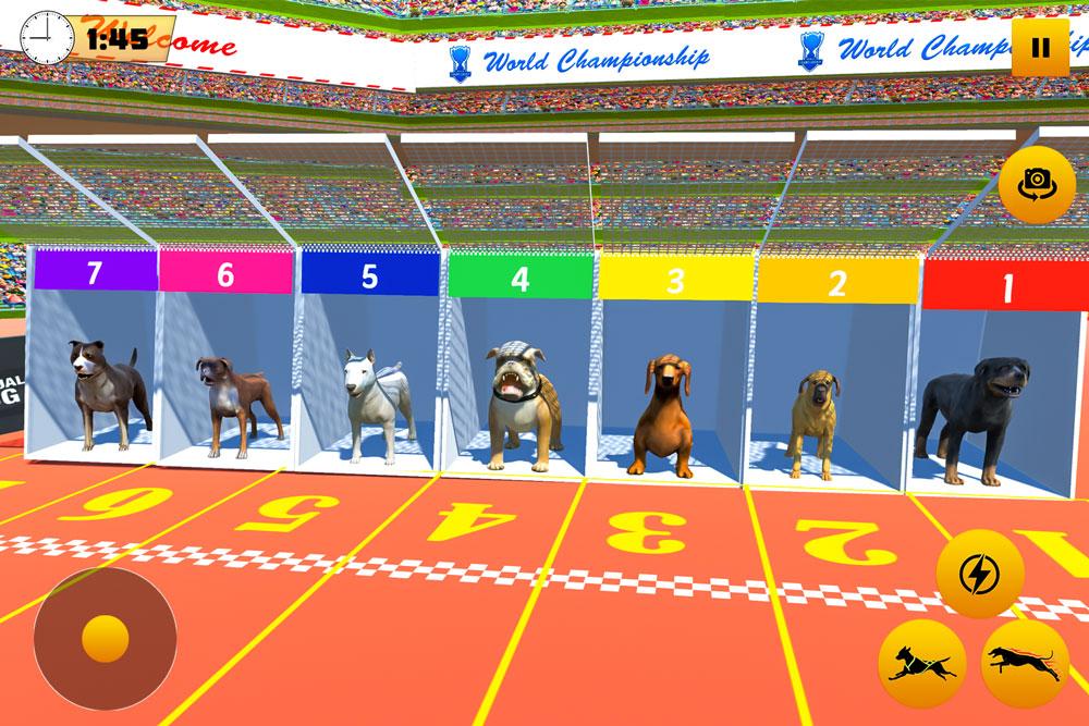 اسکرین شات 1 برنامه Dog Race Game: Dog Racing 3D