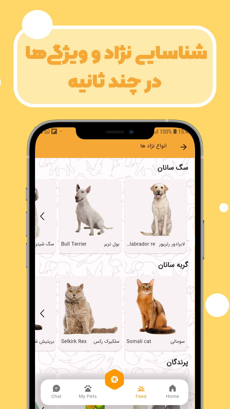 اسکرین شات 5 برنامه شناسایی نژاد سگ و نژاد گربه