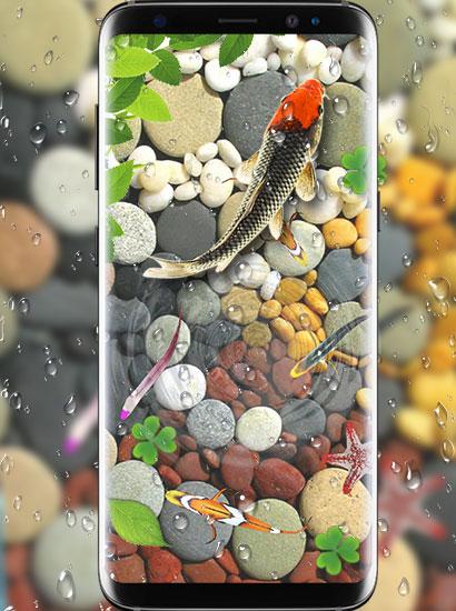 اسکرین شات 2 برنامه Fish Live Wallpaper Aquarium