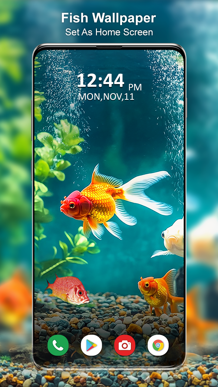 اسکرین شات 4 برنامه Koi Fish Live Wallpaper 3D