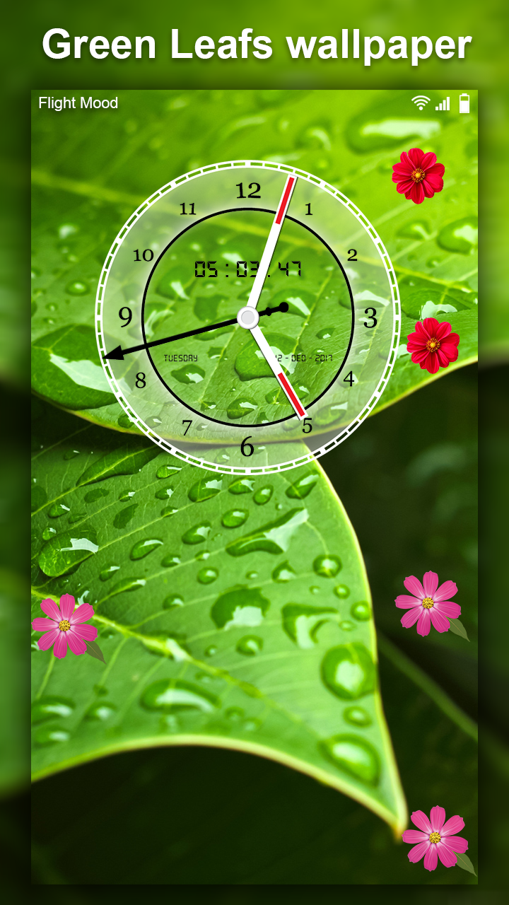 اسکرین شات 4 برنامه Green Leaf Live Wallpaper HD