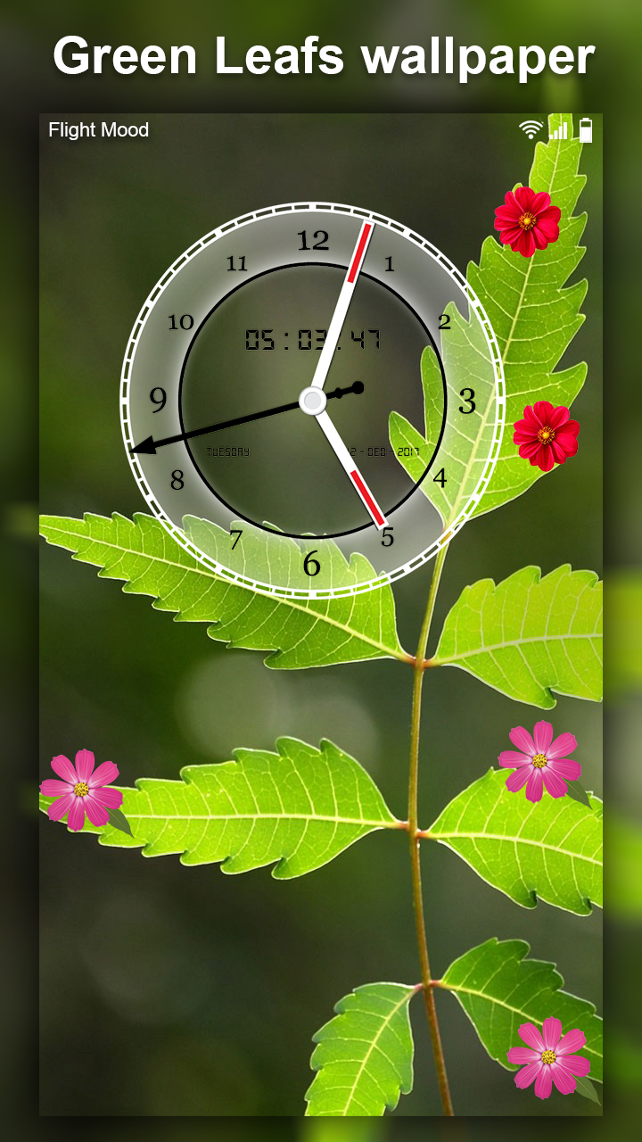 اسکرین شات 3 برنامه Green Leaf Live Wallpaper HD