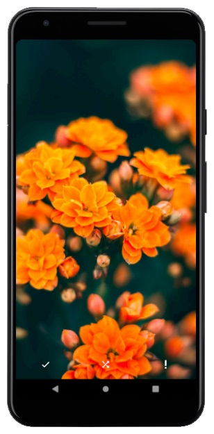 اسکرین شات 8 برنامه flowerwallpaper | تصاویر زمینه گل