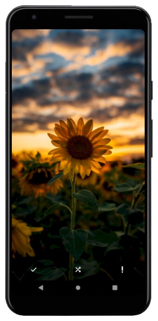 اسکرین شات 3 برنامه flowerwallpaper | تصاویر زمینه گل