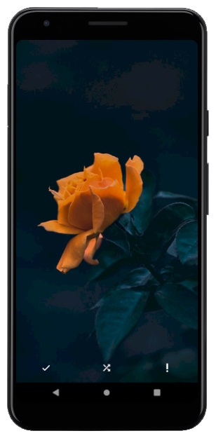 اسکرین شات 4 برنامه flowerwallpaper | تصاویر زمینه گل