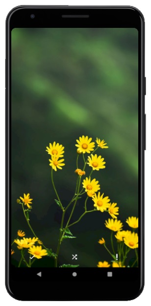اسکرین شات 7 برنامه flowerwallpaper | تصاویر زمینه گل