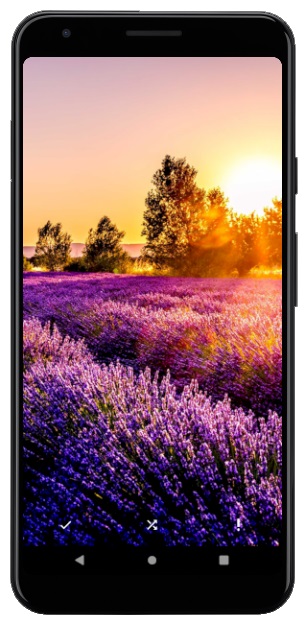 اسکرین شات 9 برنامه flowerwallpaper | تصاویر زمینه گل