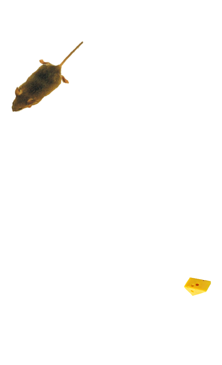 اسکرین شات 3 بازی Mouse simulator: game for cat