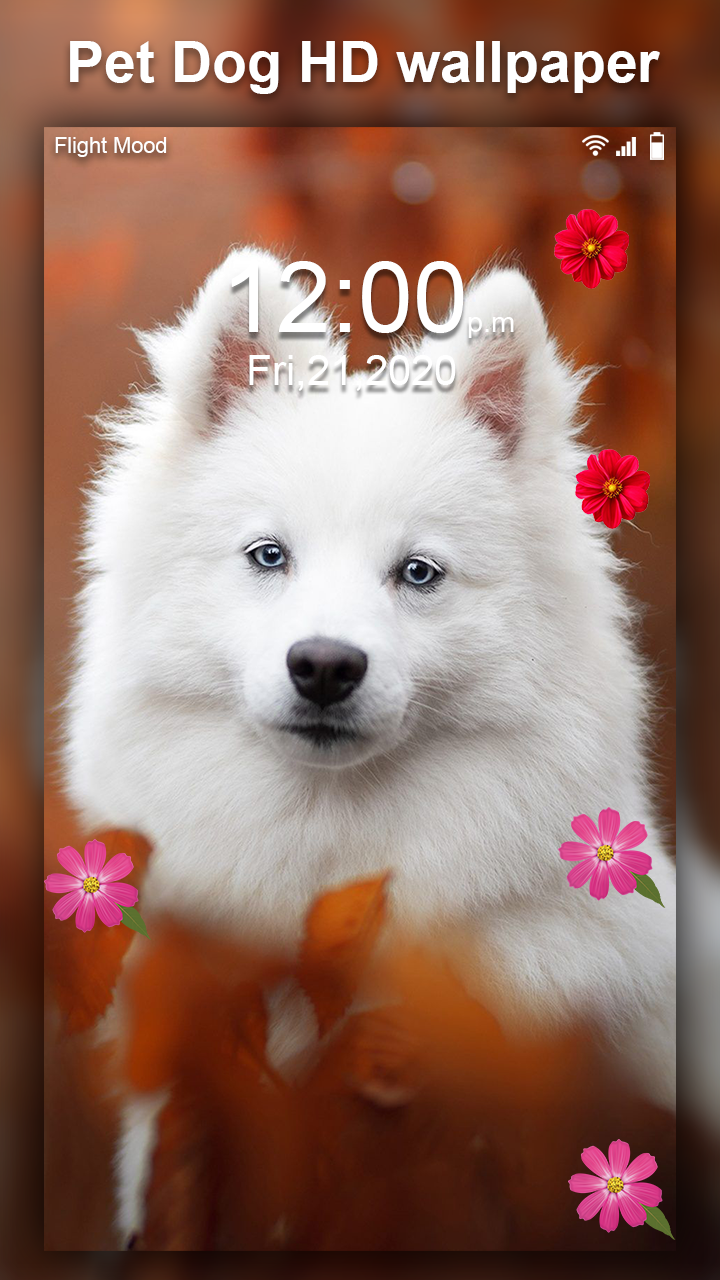 اسکرین شات 5 برنامه Cute Pet Dog Live Wallpaper HD